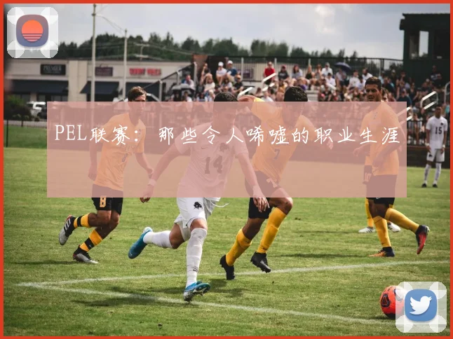 PEL联赛:那些令人唏嘘的职业生涯